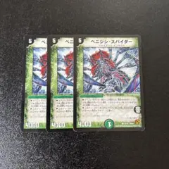ベニジシスパイダー　3枚