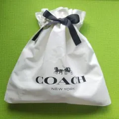 Item thumbnail for item e697c63f-fc95-4f52-834a-aac3de22d5cd