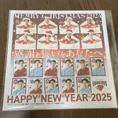 サントリーサンバーズ大阪　スポーツ新聞