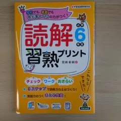 読解習熟プリント 小学6年生