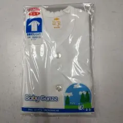 Item thumbnail for item 695e1091-6d87-4495-a097-27d2c61251ce