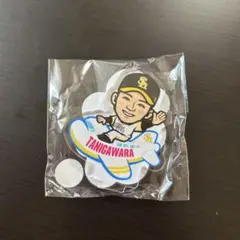 谷川原健太選手　若鷹ガチャ　またきんしゃい福岡ver