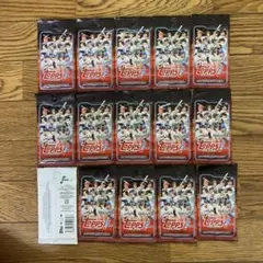 2024 Topps NPB トレーディングカード 未開封　15パック