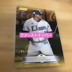 Item thumbnail for item 3ad93533-7462-4db9-8c30-9baf4f9450e7