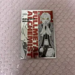 鋼の錬金術師　ポスカ　エド