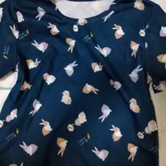 Item thumbnail for item aa9287e6-e714-4fc5-bccf-35b7eae347e1