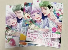 ブラットテイマー/ジョーカー　小冊子付き初回限定版　アニメイトリーフレット付