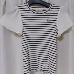組曲140半袖夏服