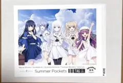 Summer Pockets サマポケ サントリー 自販機 ステッカー 集合 ⑤
