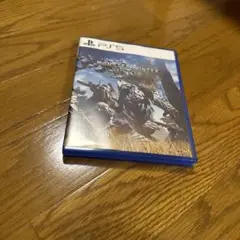 モンスターハンターワイルズ　ps5