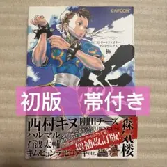 2025年最新】ストリートファイターアートワークス極の人気