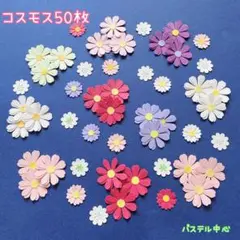 341 クラフトパンチ　コスモス　50枚　秋　グリーティングカード　アルバム　花