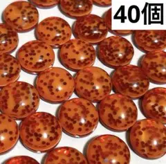 ビーズ　B-157