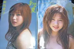 Item thumbnail for item 2327a00d-fba9-4db2-a0b9-3bfcbfbf41b7