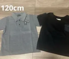 コムサ☆ポロシャツとTシャツのセット