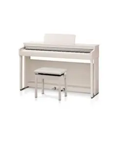 送料込み KAWAI 電子ピアノ CN29LO 19年製 ★ほぼ未使用＆激可愛い 2025年最新】kawai cn29loの人気アイテム - メルカリ