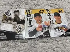 阪神タイガース グルメカード