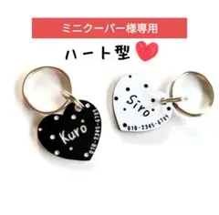 Item thumbnail for item c2534817-b82f-4bc7-bb51-40a352993b68