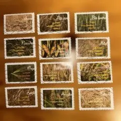 Item thumbnail for item 84e285b5-f985-41a4-bf83-05616cc406b1