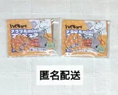 ハイキュー ファンパーク アクリルminiフィギュア 古森元也 2点