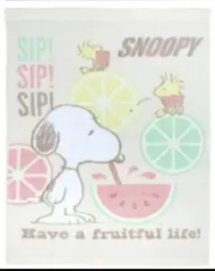 SNOOPY おぼろタオルケット　新品未使用