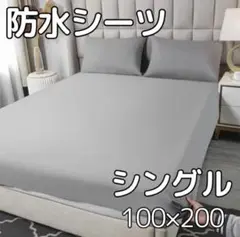 Item thumbnail for item aeb1461a-f9fc-4348-aca4-8c5b212d1bb7