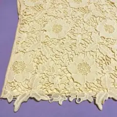 Vis レースカットソー　イエロー　Mサイズ　フレンチスリーブ