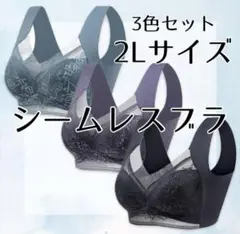 シームレスブラ 2L 寒色 3色セット ナイトブラ ノンワイヤー バストケア