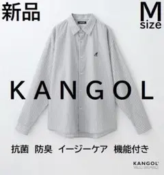 Item thumbnail for item 19b433fd-eafa-4e60-9e0b-748c85e1dc31