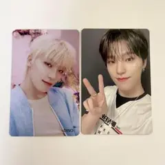seventeen 舞い落ちる花びら　初回A ディノ always トレカ