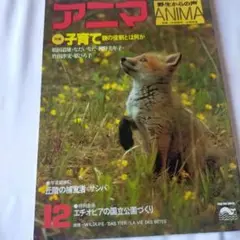 アニマ　１９７９年12月号