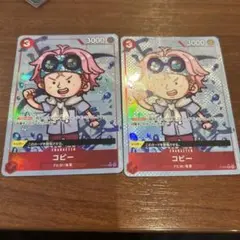 2枚P-014 P コビー フルアート パラレル PRB-01 300