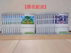 ポケモンカード　活力の森　危ない廃墟　ミステリーガーデン　なみのりビーチ