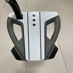 テーラーメイド スパイダーEX