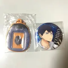 ハイキュー　影山飛雄