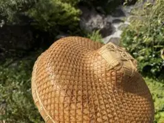 Item thumbnail for item 2329db3a-9f07-45ed-8d1b-3669139f0b52