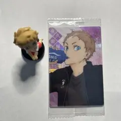 ハイキュー　夜久　衛輔　カード　フィギュア