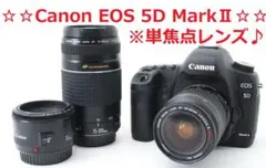 お買い得♪☆世界標準のハイスペック機種☆ Canon EOS 5D Mark Ⅱ