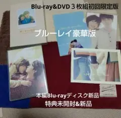 映画 Blu-ray豪華版 初回限定３枚組 陽だまりの彼女 本編ブルーレイ新品