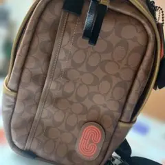 Item thumbnail for item 9e669f73-8667-4c60-8438-6f375dcc2d45