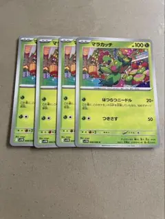 マラカッチ　4枚