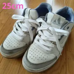 スケッチャーズスニーカー 25cm