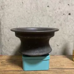 アガべ チタノタの鉢 陶器鉢 植木鉢