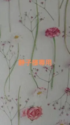 静子様専用 188 天然石ネックレス