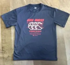 カンタベリーT シャツ