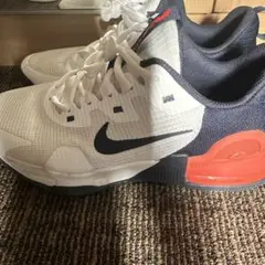 【Nike】 スニーカー エアマックス アルファトレーナー5 (26cm)