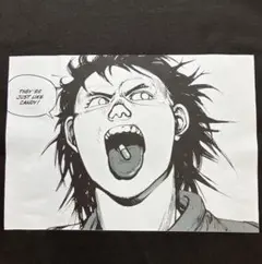 【未使用品】 AKIRA アキラ 島 鉄雄　テツオ Tシャツ アニメ 金田　XL