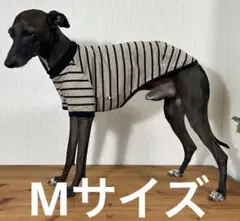 Mサイズ、犬服イタグレ服天竺ベージュ／黒ボーダーニットＴシャツ