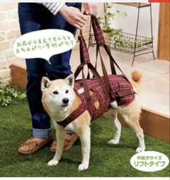 Item thumbnail for item 45cd8d0f-a404-4025-8039-e82876ef4b40