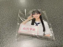 Item thumbnail for item 19ccf8da-97d7-45ec-b53b-be28529e64c6